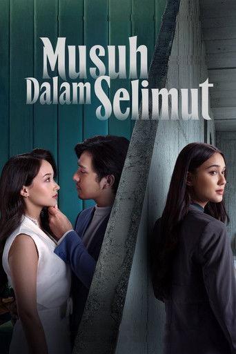 Hidden Enemy (2026) poster