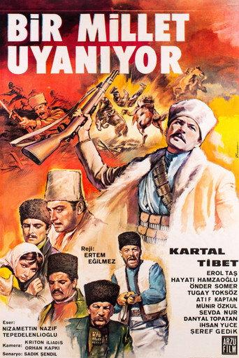 A Nation Awakens (1966) poster