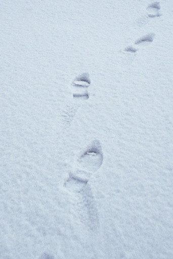 Terza passeggiata - Sulla neve (2019) poster