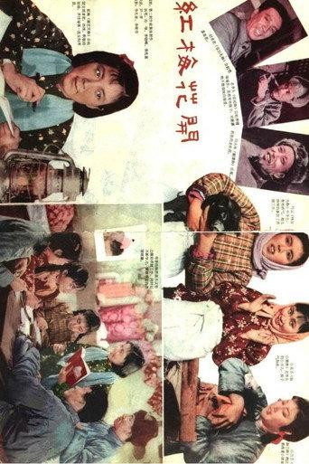 红梅花开 (1960) poster