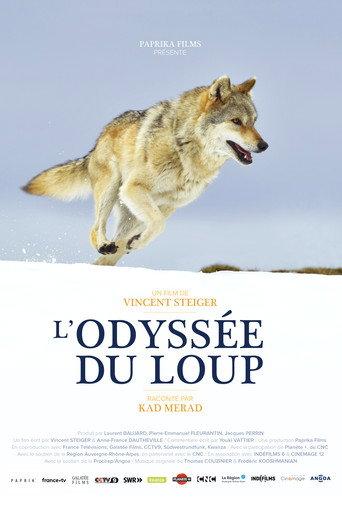 A Wolf's Journey (2019) poster