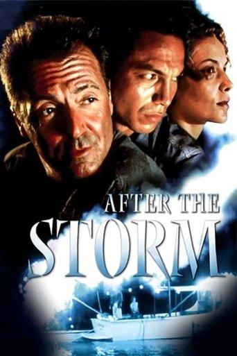 After the Storm (2001) poster