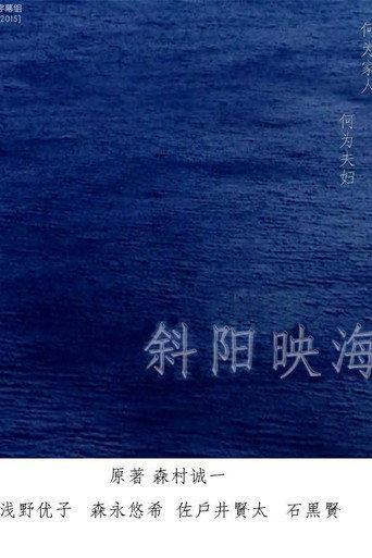 海の斜光 (2014) poster