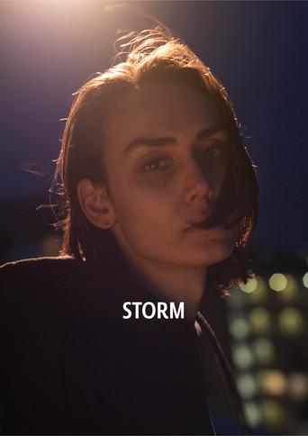 Storm () poster