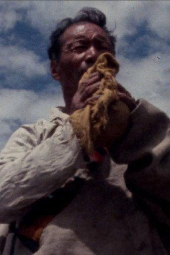 In the Birthplace of the Tibetan Nationality (1989) poster