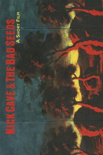 Nick Cave and the Bad Seeds - A Short Film (1978-1998) () poster