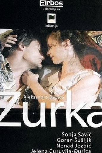 The Party (2004) poster