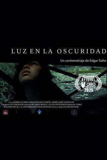 Luz en la oscuridad (2025) poster
