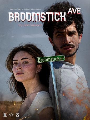 Broomstick Ave () poster