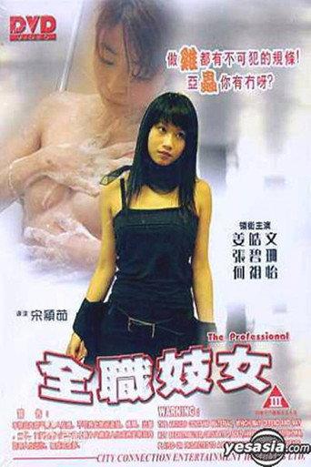 The Professional (2003) poster