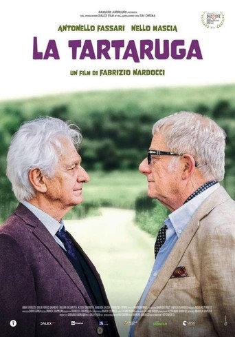 La tartaruga (2024) poster