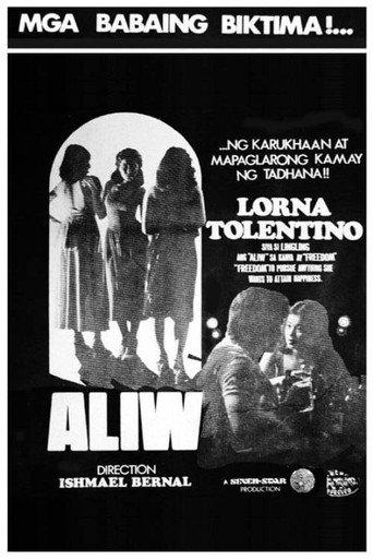 Pleasure (1979) poster