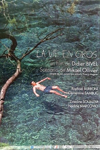 La vie en gros (2002) poster