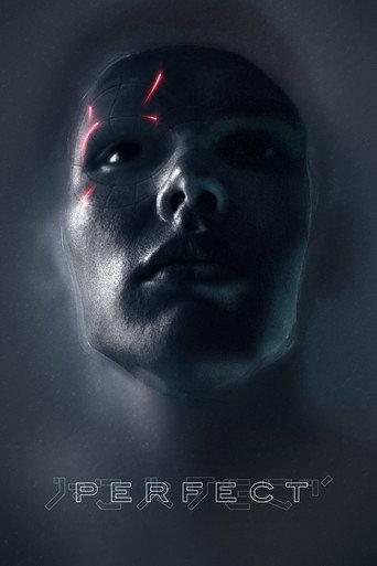 Perfect (2019) poster