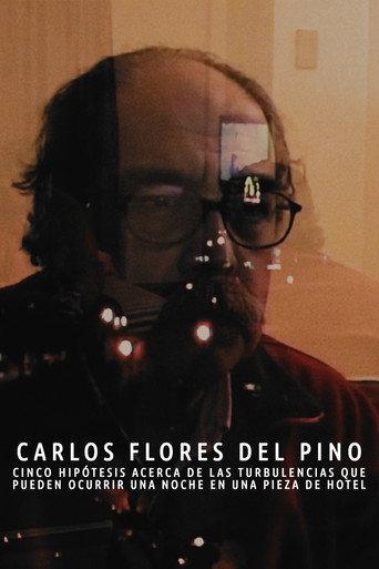 Cinco hipótesis acerca de las turbulencias que pueden ocurrir una noche en una pieza de hotel (2004) poster