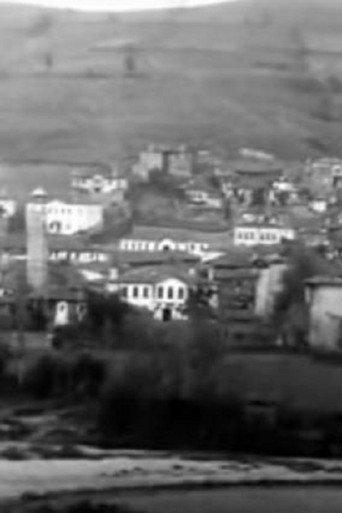 Panorama of the City of Grevena (1911) poster