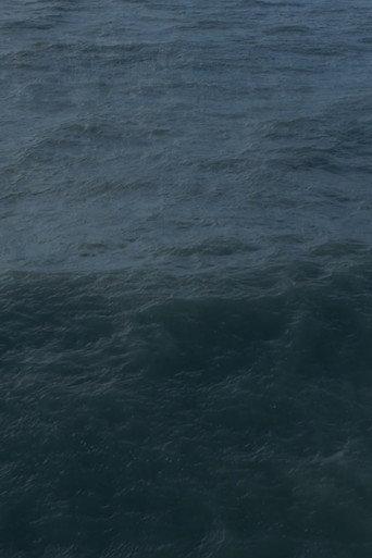Twenty Nine Minutes at Sea (2017) poster