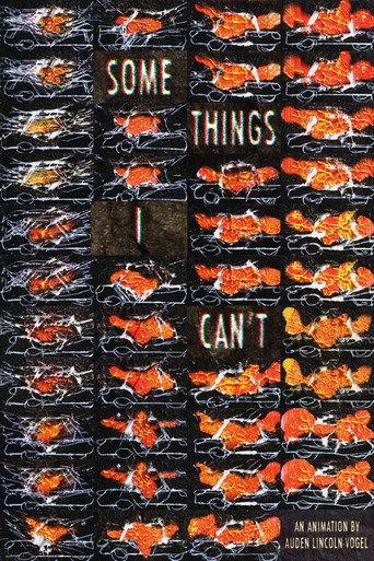 Some Things I Can't () poster