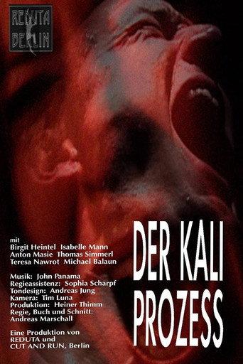 Der Kali Prozess (2003) poster