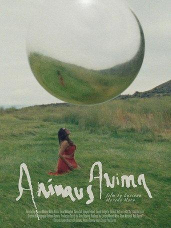 Animus Anima (2024) poster