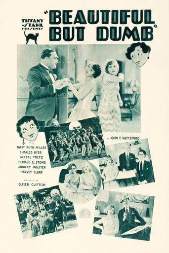 Beautiful But Dumb (1928) poster