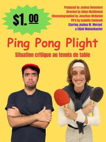 Ping Pong Plight () poster