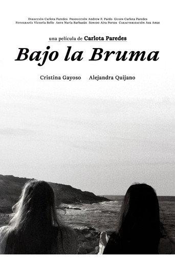 Bajo la bruma () poster