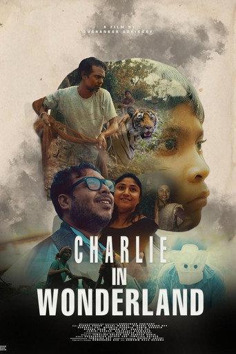 Charlie in Wonderland (2024) poster