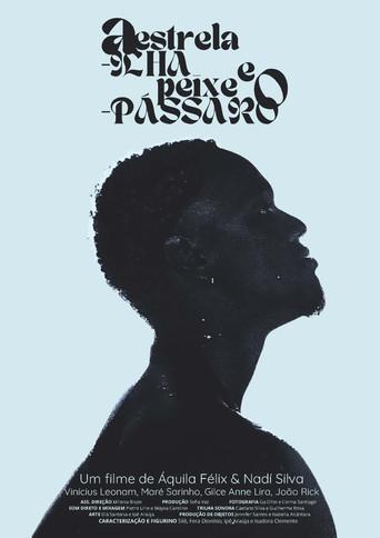 A Estrela-ilha e o Peixe-pássaro () poster