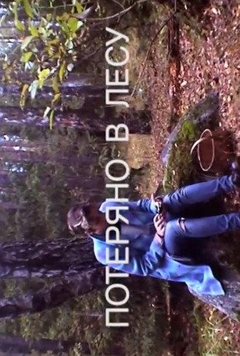Lost in the Woods (2013) poster