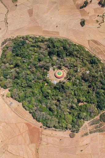 The Church Forests of Ethiopia (2020) poster
