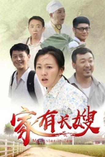 家有长嫂 (2019) poster