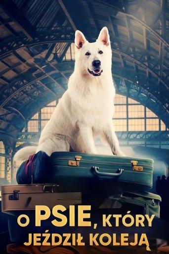 Lampo, the Travelling Dog (2023) poster