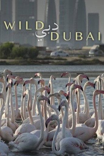 Wild Dubai () poster
