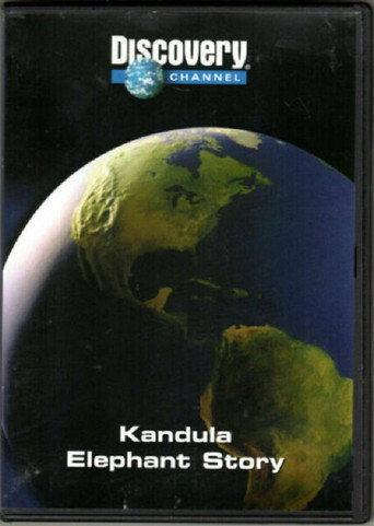 Kandula: An Elephant Story (2001) poster