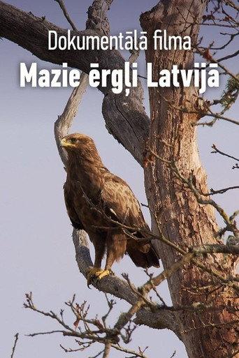 Mazie ērgļi Latvijā (2021) poster