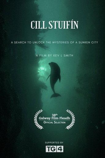 Cill Stuifín (2026) poster