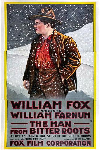 The Man from Bitter Roots (1916) poster