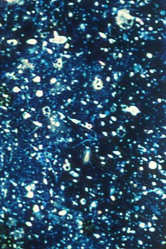 Ephemeral Solidity (1993) poster