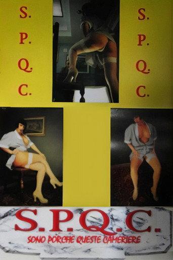 S.P.Q.C. Sono Porche Queste Cameriere (1992) poster