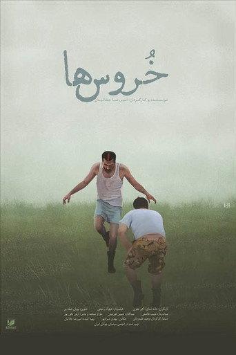 Cocks () poster