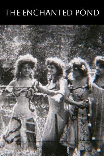The Enchanted Pond (1907) poster