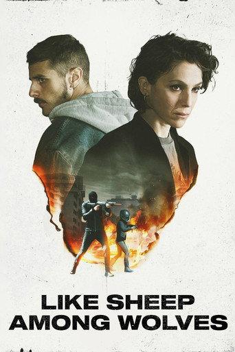 Like Sheep Among Wolves (2023) poster