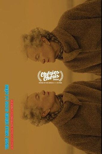 Vingt mille lieux sous la mère (2024) poster