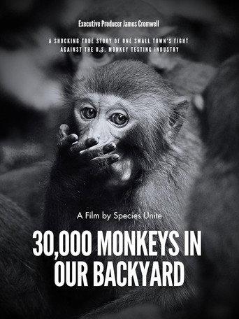 30,000 Monkeys in Our Backyard () poster
