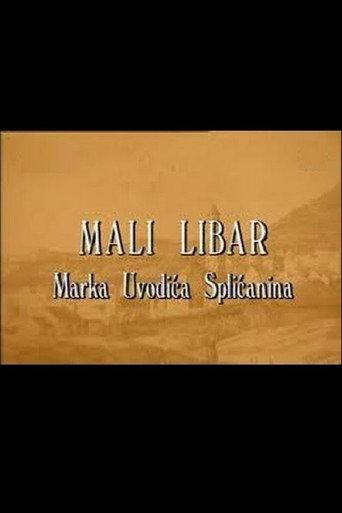 A Little Inscription of Marko Uvodic from Split (1997) poster