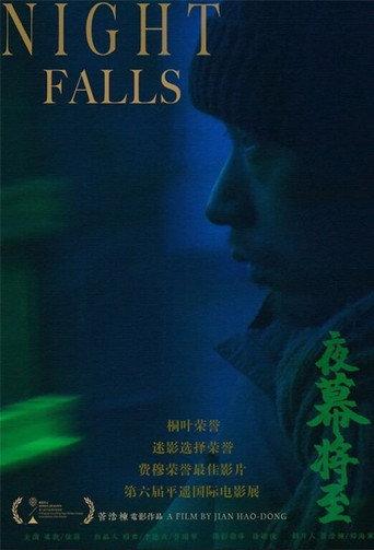 Night Falls (2024) poster