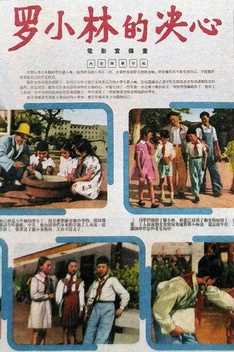 罗小林的决心 (1955) poster