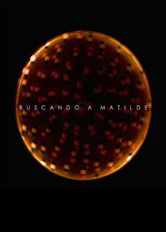 Looking for Matilde (2013) poster