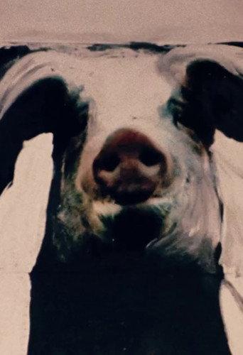 The Trail of the Pig (1993) poster